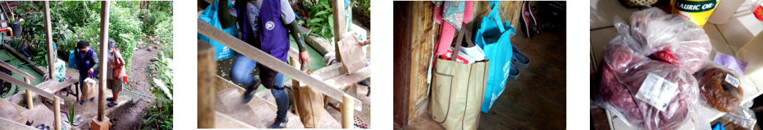 Images of woman bringing home the
        shopping in tropical home