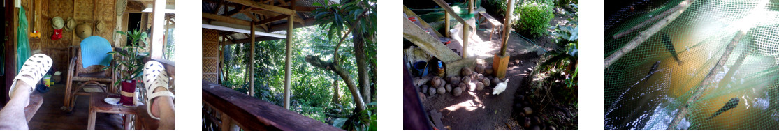 Images of a lazy November afternoon on
        a tropical balcony