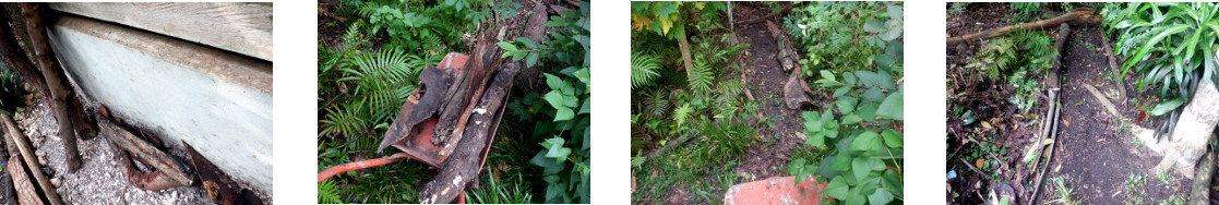 Images of scrap wood used to
            improve garden borders in tropical backyard