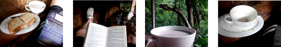 Images of a lazy Sunday on a tropical
        balcony