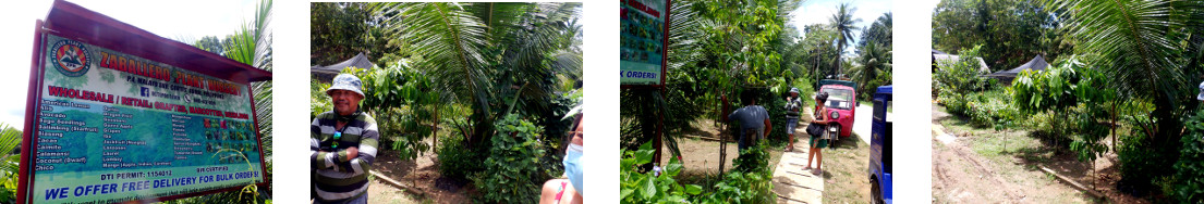 Images of Zaballero Plant Nursery in Bohol