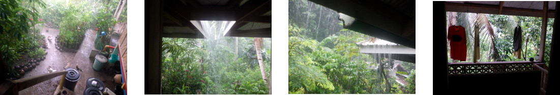 Images of early morning rain in
        tropical backyard