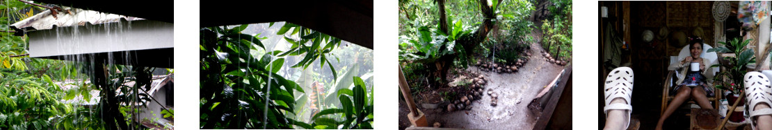 Images of rain in tropical backyard