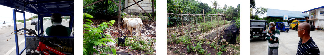 Images of a visit to shepards Arms
        children Home Panglao