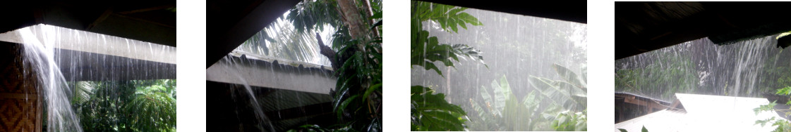 Images of rain in tropical
            backyard