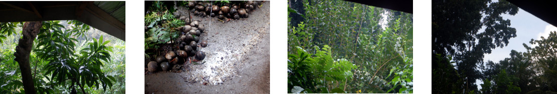 Images of clouded rain and in tropical backyard