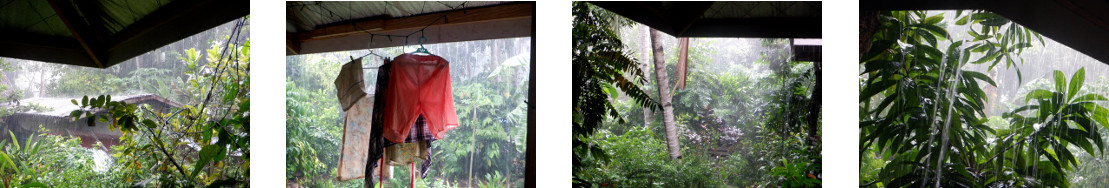 Images of rain in tropical backyard