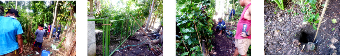 Images of fence being built around tropical
            backyard