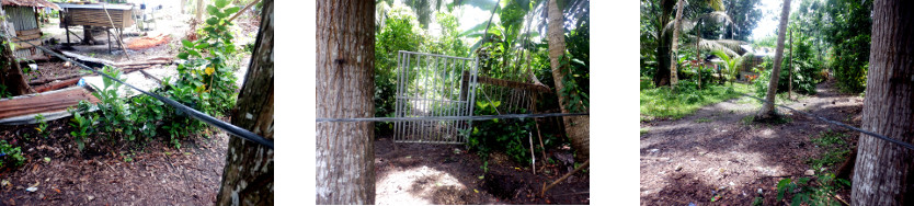 Images of tropical pathway symbolically blocked