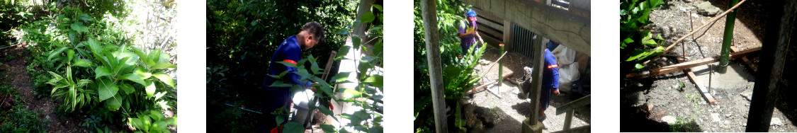 Images of fence construction in tropical backyard