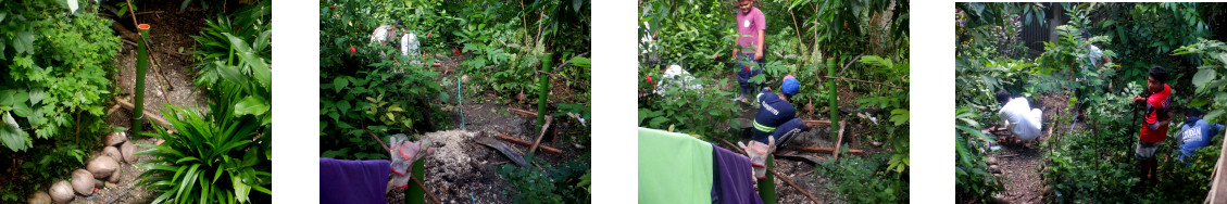 Images of
        fence construction in tropical backyard