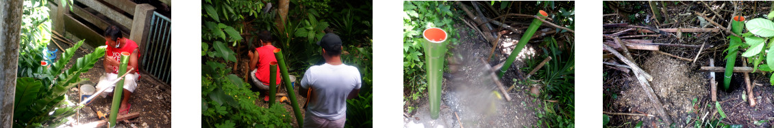 Images of fence construction in tropical backyard