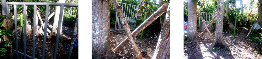 Images of
        symbolic blocking of gate by tropical neighbours