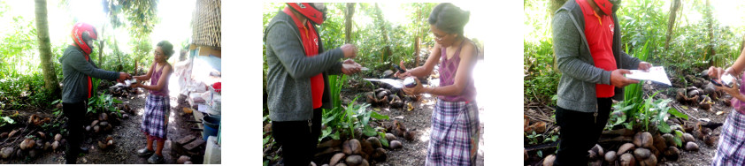 Imagws of woman recieving a package in tropical
          backyard