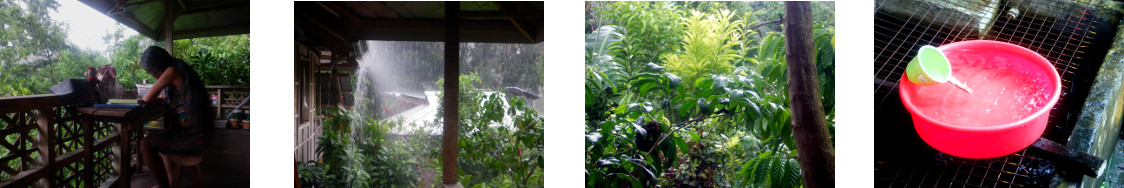 Images of rain in tropical backyard