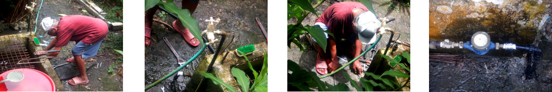 Images of leaky pipe being repaired in tropical backyard