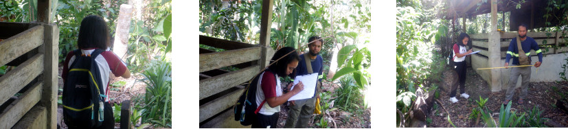 Images
            of people mapping tropical backyard garden