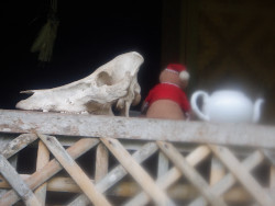 Images of objects on balcony in tropical house