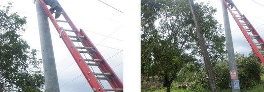 Images of a Bohol linesman restoring power nearly two
        months after a typoon hit the area
