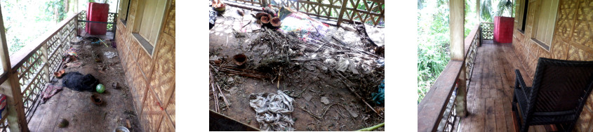 Images of
        tropical balcony after piglets have been removed