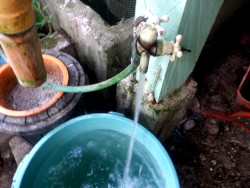 Images of water coming from tap in tropical backyard
        garden