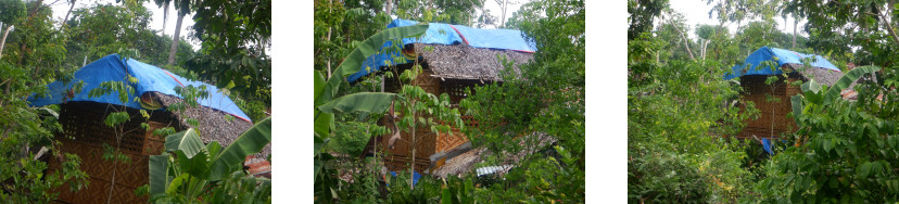 Images of tarpau8lin on house roof after damage by Bohol
        typhoon several weeks earlier