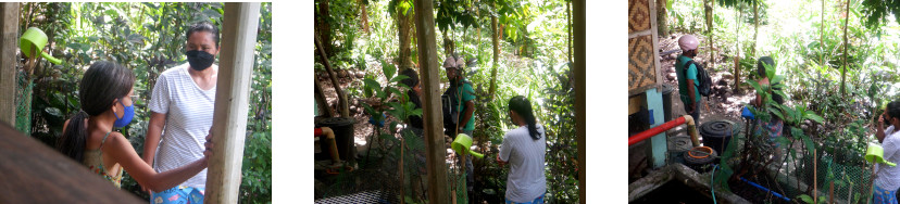 Images of visitors in a tropical home