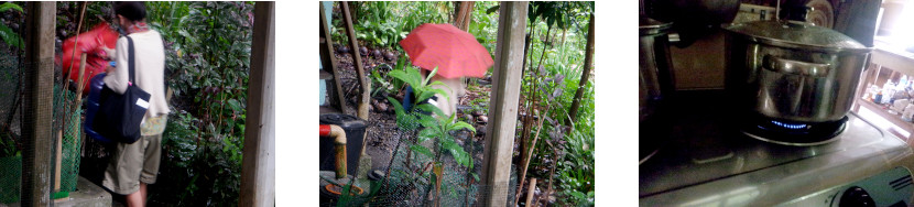 Images of
            woman going shopping and man cooking soup in tropical home
            after typhoon Rai