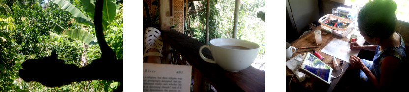 Images of a lazy Sunday
        afternoon on a tropical balcony