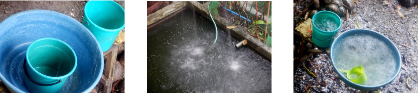 Images of
            rain in tropical home. Allowing water reservesto be
            replenished after typhoon Rai