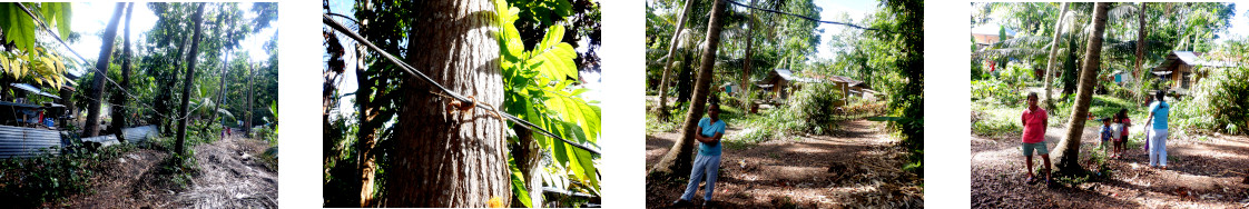 Images of waiting for a visitor outside tropical home