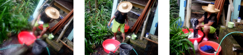 Images of
            woman doing the washing in a tropical house