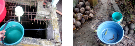 Images of water shortage in tropical home aftert typhoon
        Rai