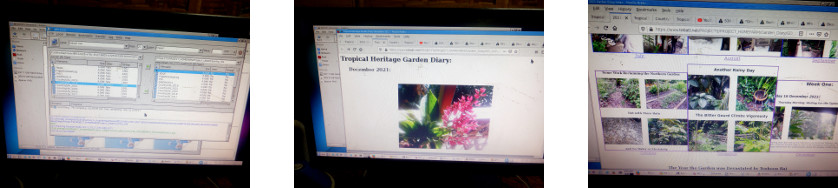 Images of uploading Garden Diary to Internet