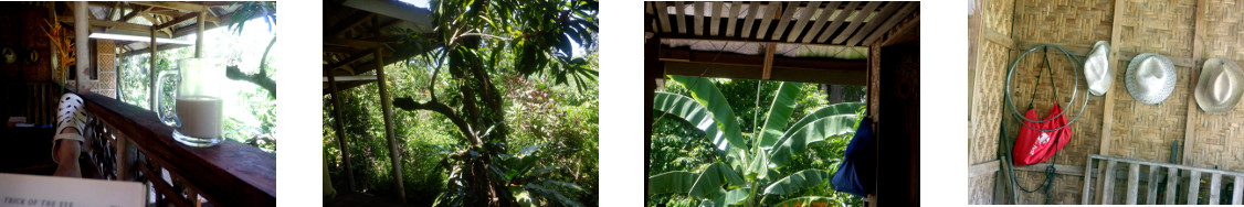 Images of hot sunny day on tropical
        balcony