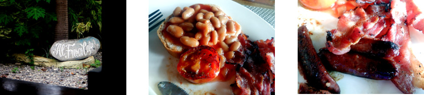 Images of Lunch in Tagbilaran