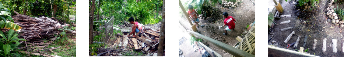 Images of local lads helping with
          various tasks in tropical backyard