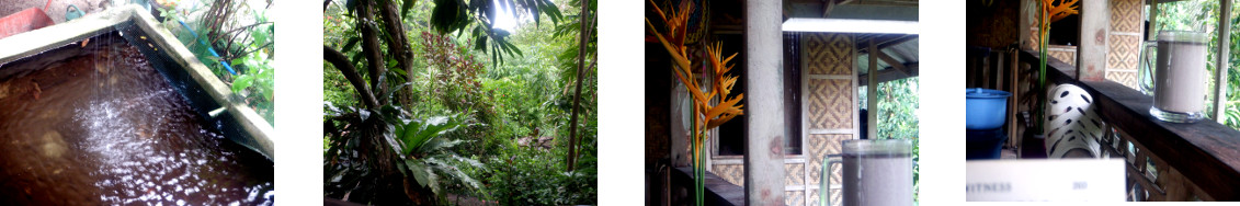 Images of a rainy day on a tropical
        balcony