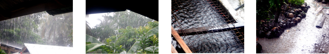 Images of rain in tropical
              backyard