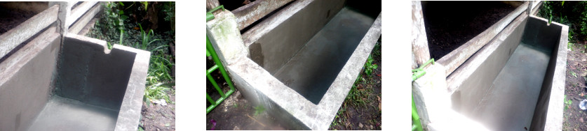 Images of waterproofed reservoir in
        tropical backyard