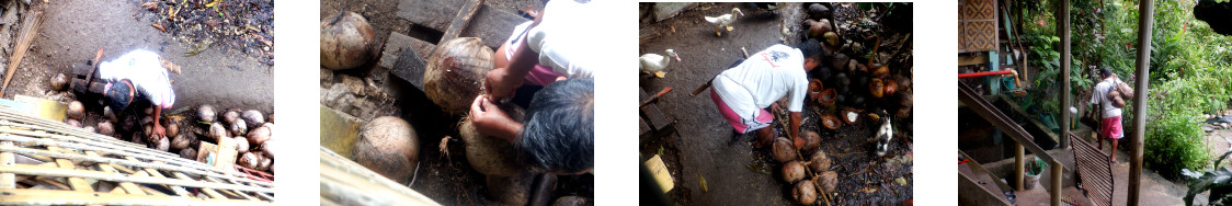 Images of a neighbour buying coconuts