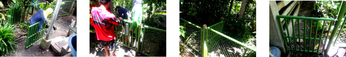 Images of gates installed in tropical backyard pig runs
