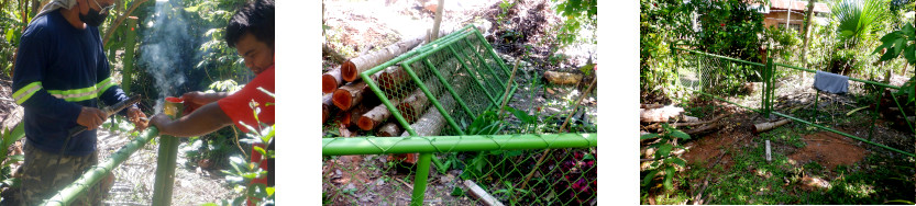 Images of contruction of fence in tropical backyard