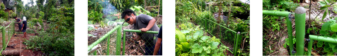 Images of fencing wirk in tropical backyard