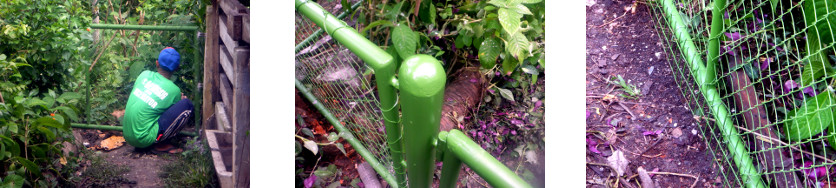 Images of fence being completed in
          tropical backyard