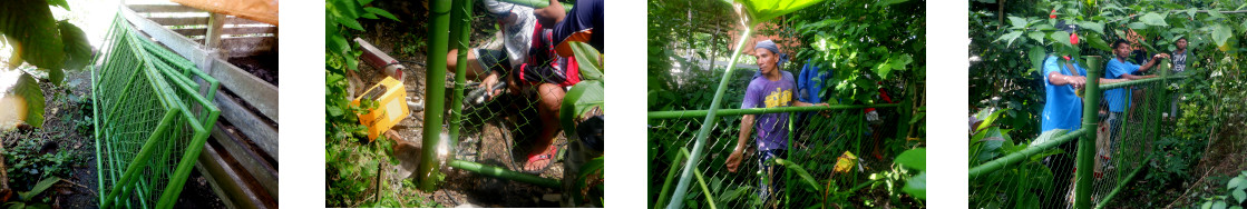 Imagews of installation of fence panels in tropical
        backyard