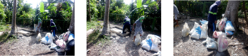 Images of men mixing concrete for
        tropical backyard