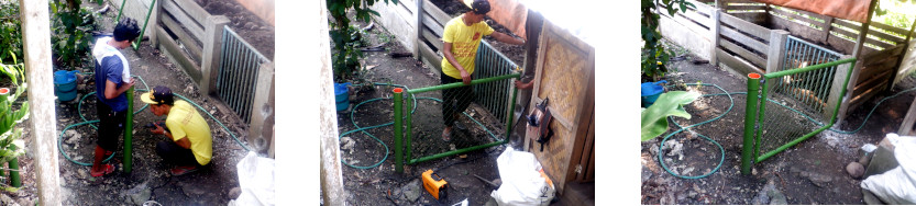 Images of construction of fence
          in tropical backyard