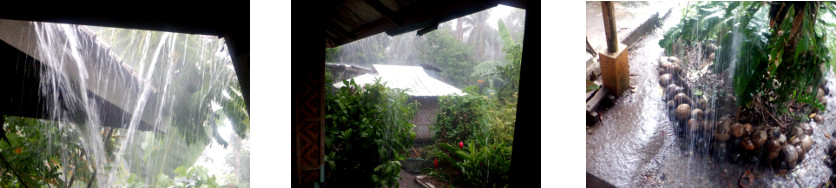 Images of rain in tropical backyard