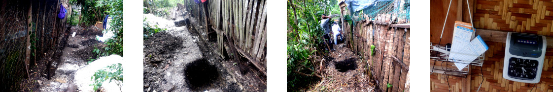 Images of workers constructing a
              privacy wall in tropical backyard